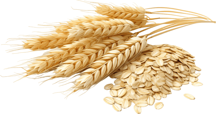 ingredient3